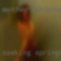 Seeking Springfield